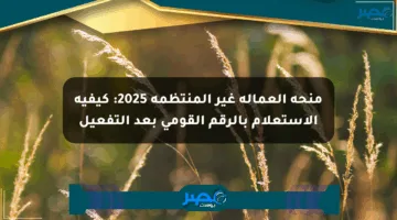 منحة العمالة غير المنتظمة 2025: كيفية الاستعلام بالرقم القومي بعد التفعيل